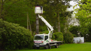 FD MultiServices à Libourne