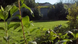 Cathala Jardins SARL à Merville