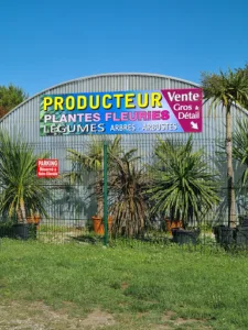 Pépinières / Paysagiste Coindet à Saint-Pierre-d'Oléron