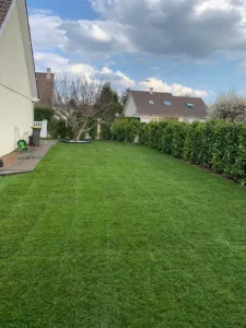 Alexandre – Jardinier – Cmonjardinier à Montesquieu-Lauragais