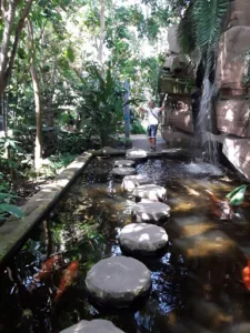 Fleury Jardin à Fayence