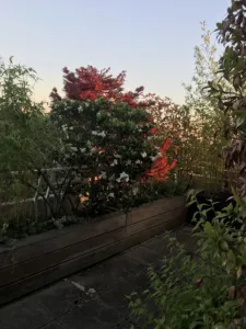 Jardins Des Cimes à Bry-sur-Marne