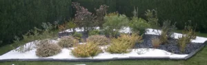 S.c.parcs Et Jardins à Panazol