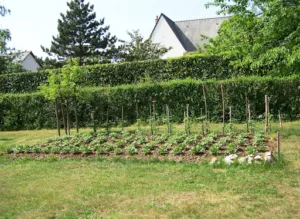 Imagine Jardin à Semblançay