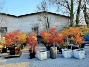 Les Jardins d’Orion à Annecy