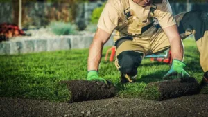 DUVICQ JARDIN ET TRAVAUX à Siest