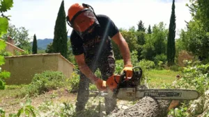 Les jardins de Julien à Garéoult