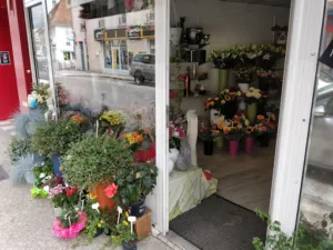 Emilie Fleurs à Les Abrets-en-Dauphiné