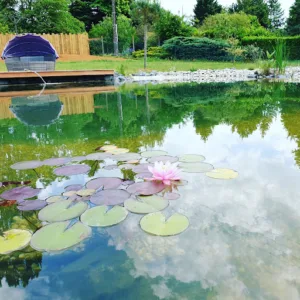Prestige Aménagements Extérieurs Metz à Pommérieux