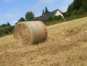 Eau de Jardin à Canapville