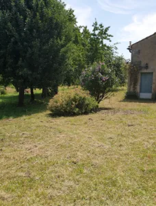 Espace vert à Cognac