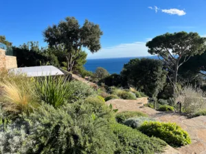 STL Paysage à Le Lavandou