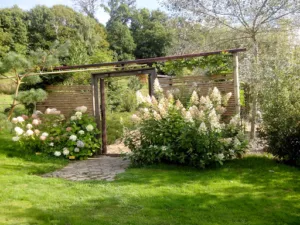 Artbotanic à Saint-Agnant-de-Versillat