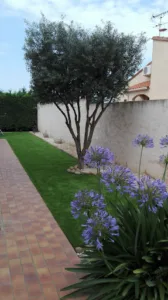 Moulinier Frédéric jardinier paysagiste à Prades