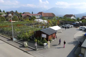 Pépinière spécialisée arbres fruitiers MESMIN à Poisy