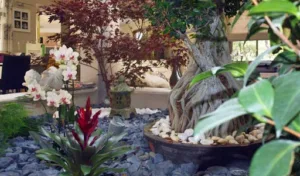 jardin-tendance.com sarl:albadalejo à Puget