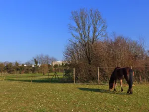 Au Pre Des Hauts Champs à Faches-Thumesnil