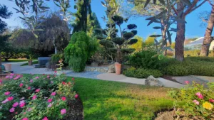 Moncorgé Créateur de Jardins à Charlieu