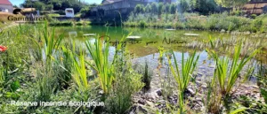 Paysagiste par Nature ® à Einvaux