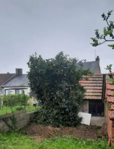 Mayer Paysage (entretien de jardin, élagage dans la Nièvre) à La Charité-sur-Loire