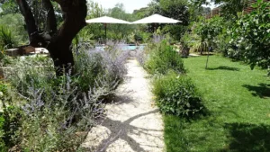 Espaces Verdure à Sète