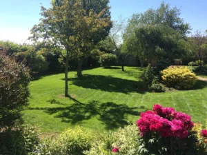 Gérard Elagage  Élagage et aménagement extérieur à Laval et Loiron en Mayenne (53) à Loiron-Ruillé