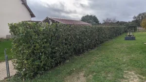 Fleury Beauce Paysagiste à Sougy