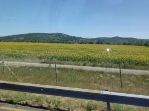 AUX JARDINS NATURELS à La Garde-Adhémar