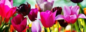 Les Jardins de Beausoleil à Pleugueneuc