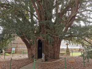 Le Savoir Vert – Elaga’Jardin à Saint-Martin-du-Vivier