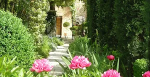 Jean-Baptiste – Jardinier – Cmonjardinier à Ézanville
