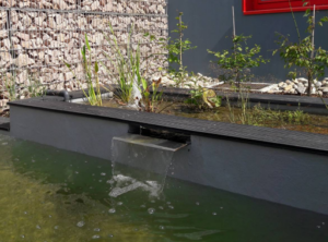 Acqua Plant – Création d’espace vert, jardin aquatique à Eichhoffen à Eichhoffen