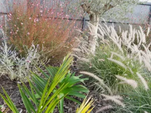 Jardinage Service + à Sainte-Gemmes-sur-Loire