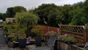 Cote Jardin à Lexy