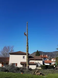 Elagage Velay à Saint-Pal-de-Mons