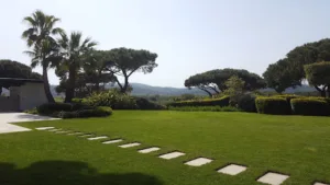 JSM Paysage à Hyères