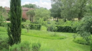 DUVEAU JARDINIER PAYSAGISTE à Simorre