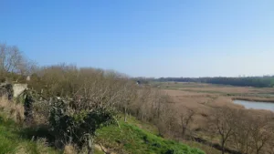 Soleil Vert à Sainte-Croix-sur-Mer