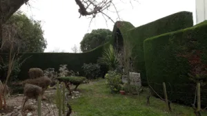 Aloé Jardin à Crêches-sur-Saône