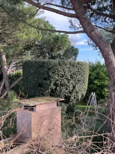 Bois et Jardin à Endoufielle