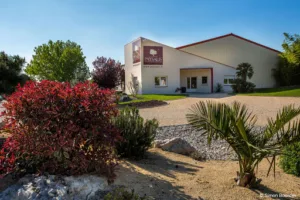 Paysalis – Blandineau Création Jardin – Paysagiste Vendee à Soullans