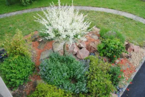 Du Sens au Jardin à Saint-Pierre-d'Oléron