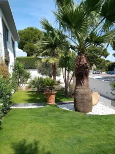 Philippe – Jardinier Cmonjardinier à Le Rove