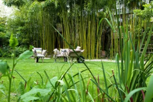 Horticulture et Jardins à Saint-Prix
