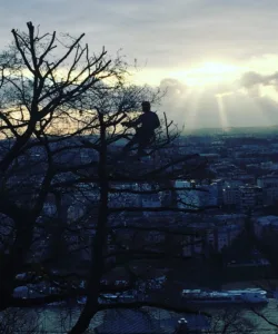 Fusion Paysage à Lyon
