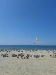 Tiffon Anthony – paysagiste33.net à Soulac-sur-Mer