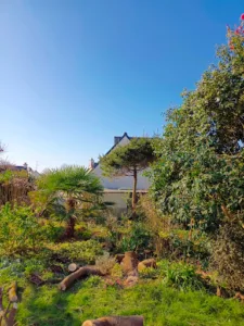 Angy Buscail Élagage Jardinier Paysagiste 22 à Louannec