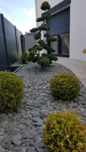 OUEST CONCEPT JARDIN à Saint-Avé