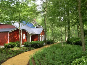 idverde à Bois-de-Haye