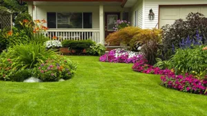 ZIMMER JARDINAGE à Chanteheux